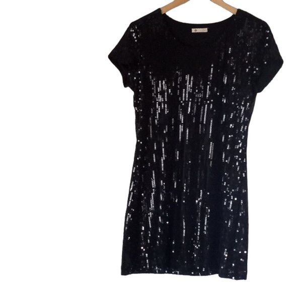 SOLD Anthropologie Dress Tulle Black Sequin Embellished Midi A-Line Stretch - Picture 2 of 12